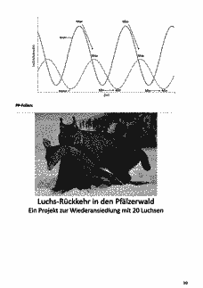 Vorschau Seite 10