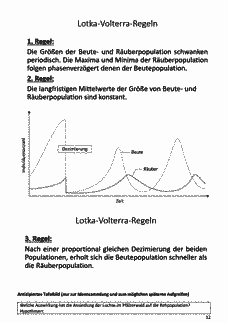 Vorschau Seite 12