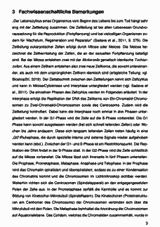 Vorschau Seite 3