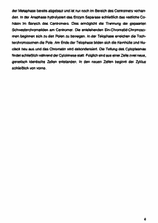 Vorschau Seite 4