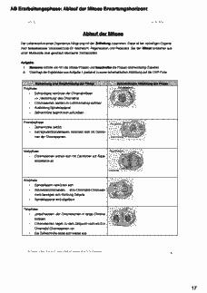 Vorschau Seite 17