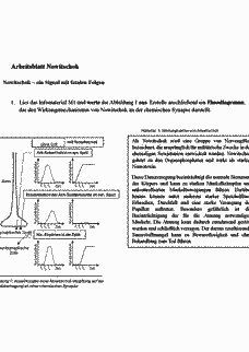 Vorschau Seite 6