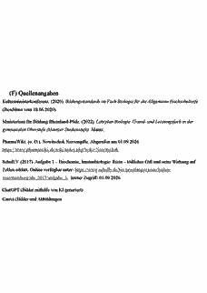 Vorschau Seite 8