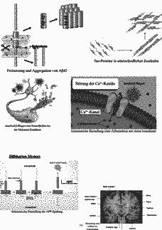Vorschau Seite 15