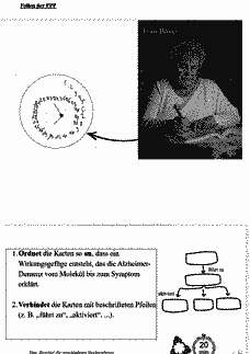 Vorschau Seite 17
