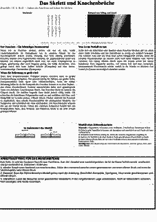 Vorschau Seite 1
