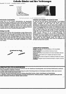 Vorschau Seite 2