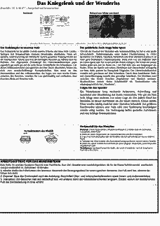 Vorschau Seite 3