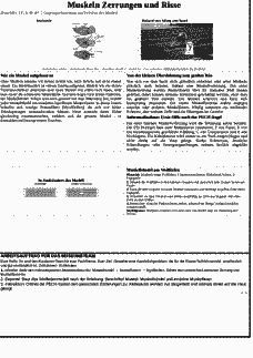 Vorschau Seite 4