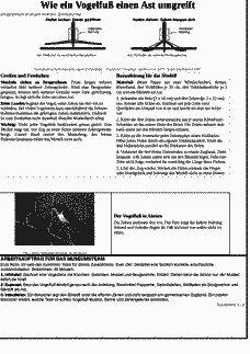 Vorschau Seite 2