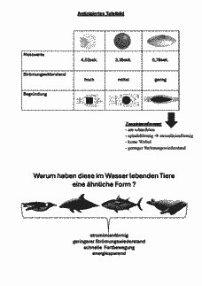 Vorschau Seite 9