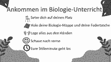 Vorschau Seite 12