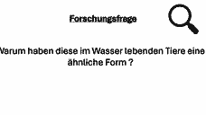 Vorschau Seite 14