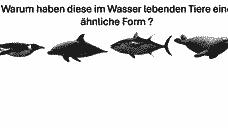 Vorschau Seite 16