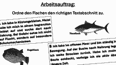 Vorschau Seite 18