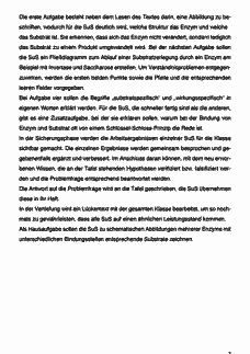 Vorschau Seite 6