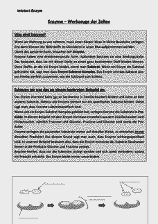 Vorschau Seite 13