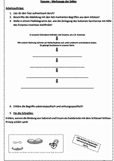 Vorschau Seite 14