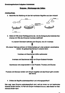 Vorschau Seite 15