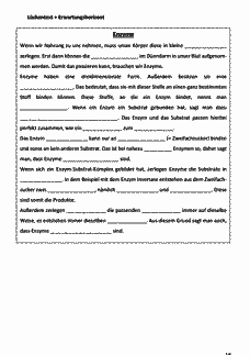 Vorschau Seite 17
