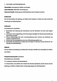 Vorschau Seite 1