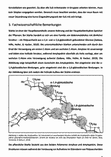 Vorschau Seite 4