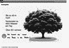 Vorschau Seite 4
