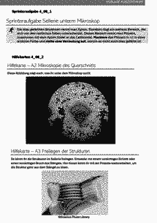 Vorschau Seite 8