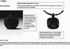 Vorschau Seite 4