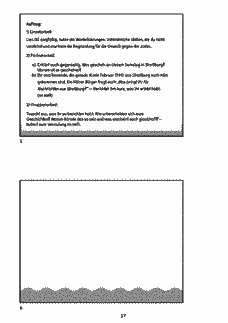 Vorschau Seite 17