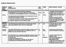 Vorschau Seite 7