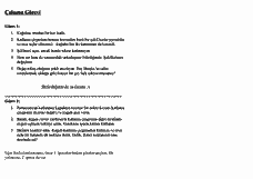 Vorschau Seite 8