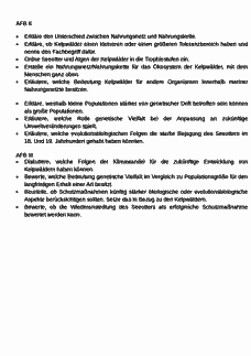 Vorschau Seite 4