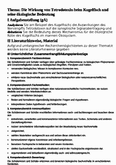 Vorschau Seite 1