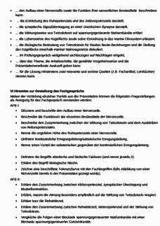 Vorschau Seite 5