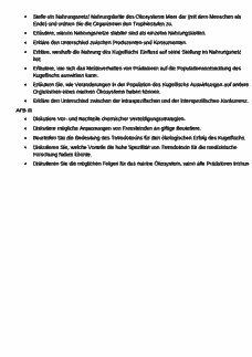 Vorschau Seite 6