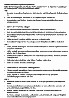 Vorschau Seite 4