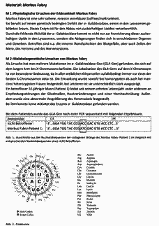 Vorschau Seite 2