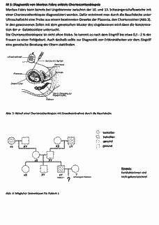 Vorschau Seite 3