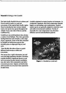 Vorschau Seite 4