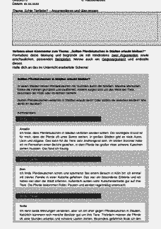 Vorschau Seite 1