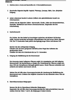 Vorschau Seite 1