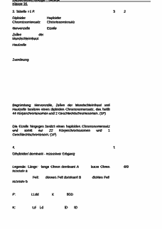 Vorschau Seite 3