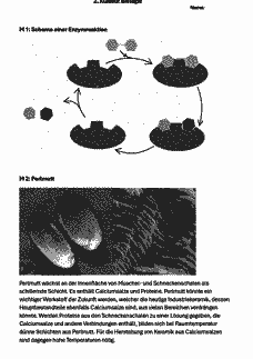 Vorschau Seite 2