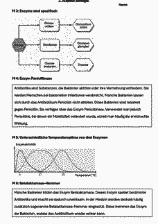 Vorschau Seite 3