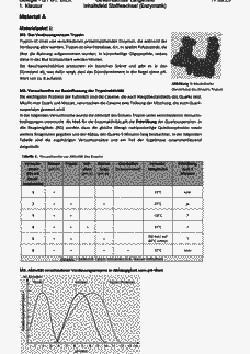 Vorschau Seite 2