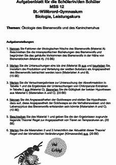Vorschau Seite 1