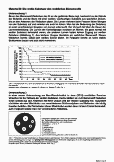 Vorschau Seite 3