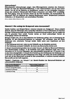 Vorschau Seite 4