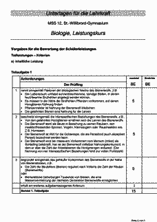 Vorschau Seite 7